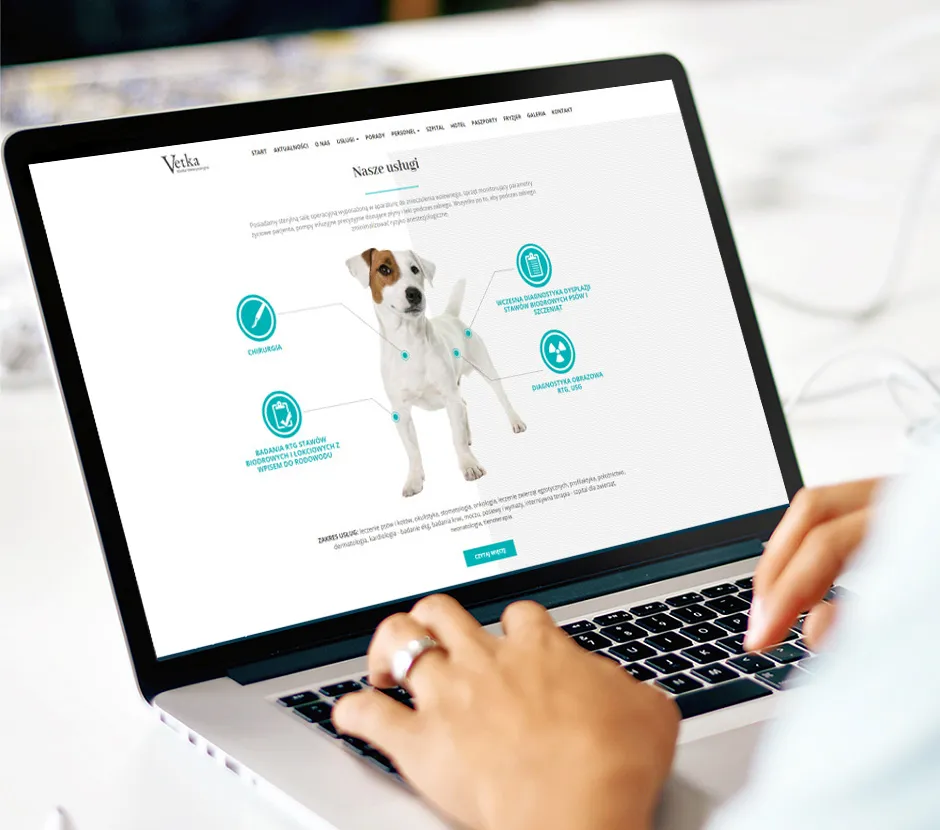 strony www bielsko vetka 1