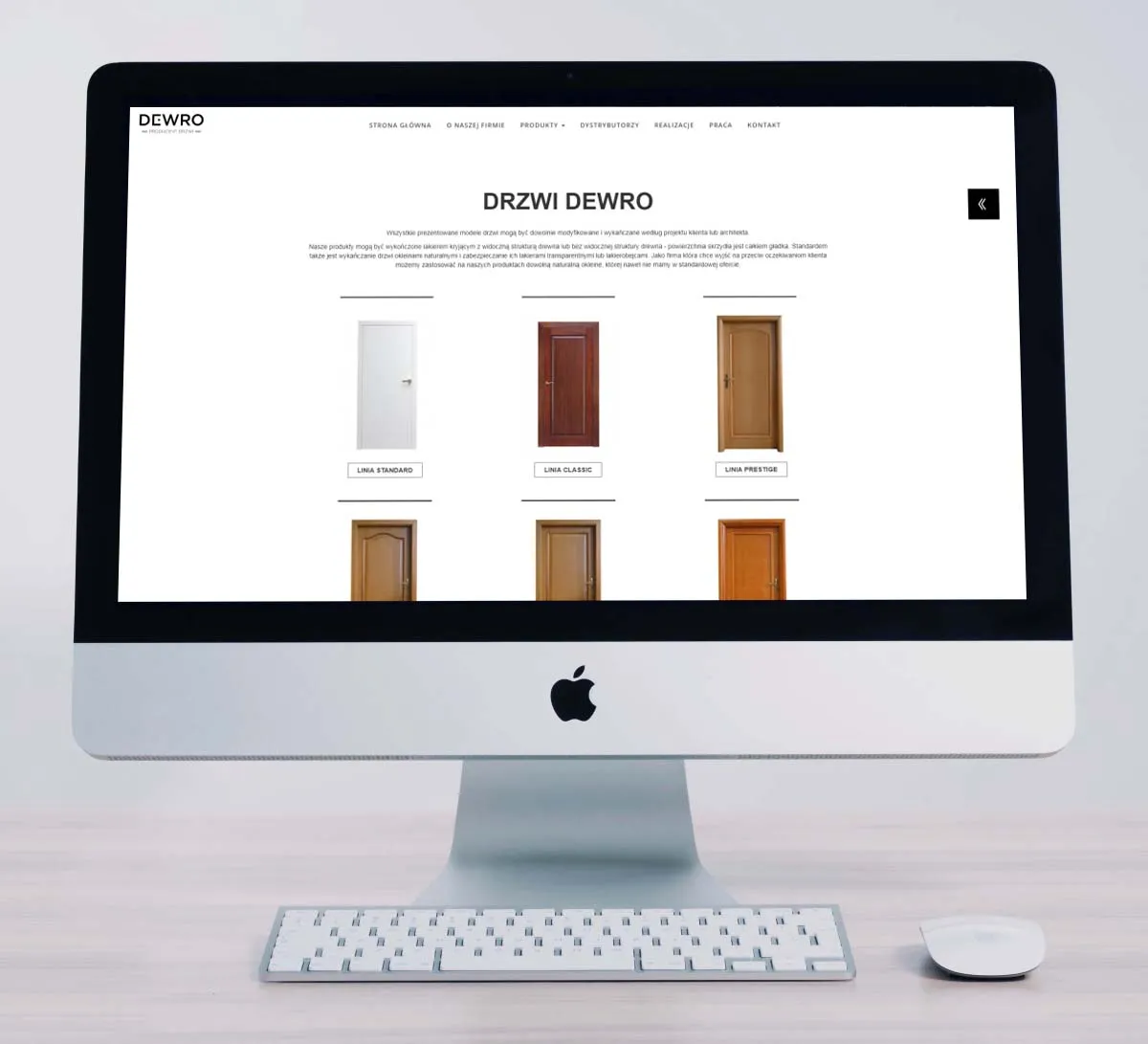 sklepy internetowe katowice