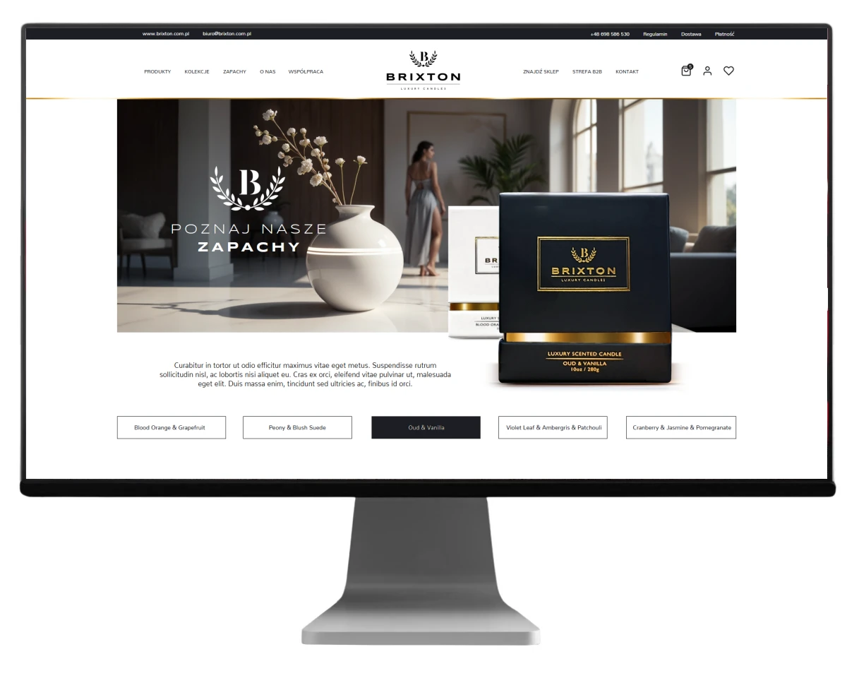 projektowanie strony www dla brixton