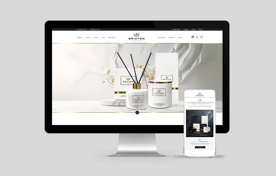 projekt strony internetowej dla marki brixton