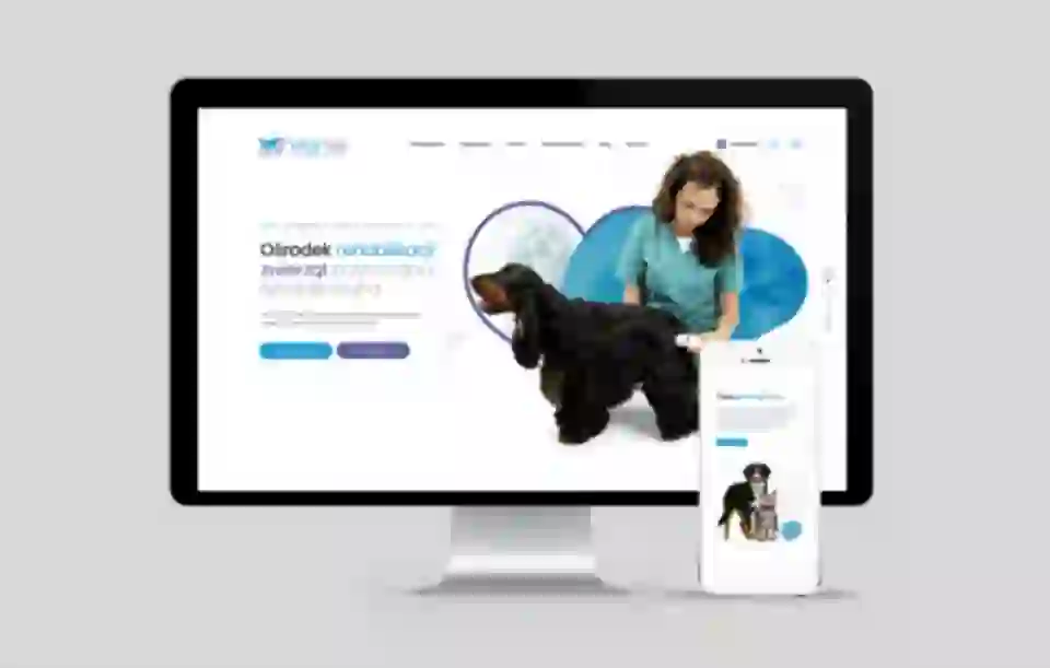 strony internetowe bielsko projekt dla vitalvet