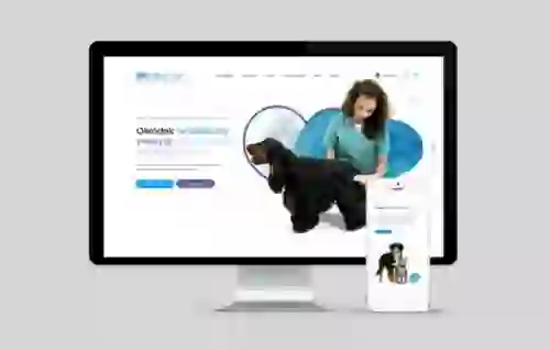strony internetowe bielsko projekt dla vitalvet