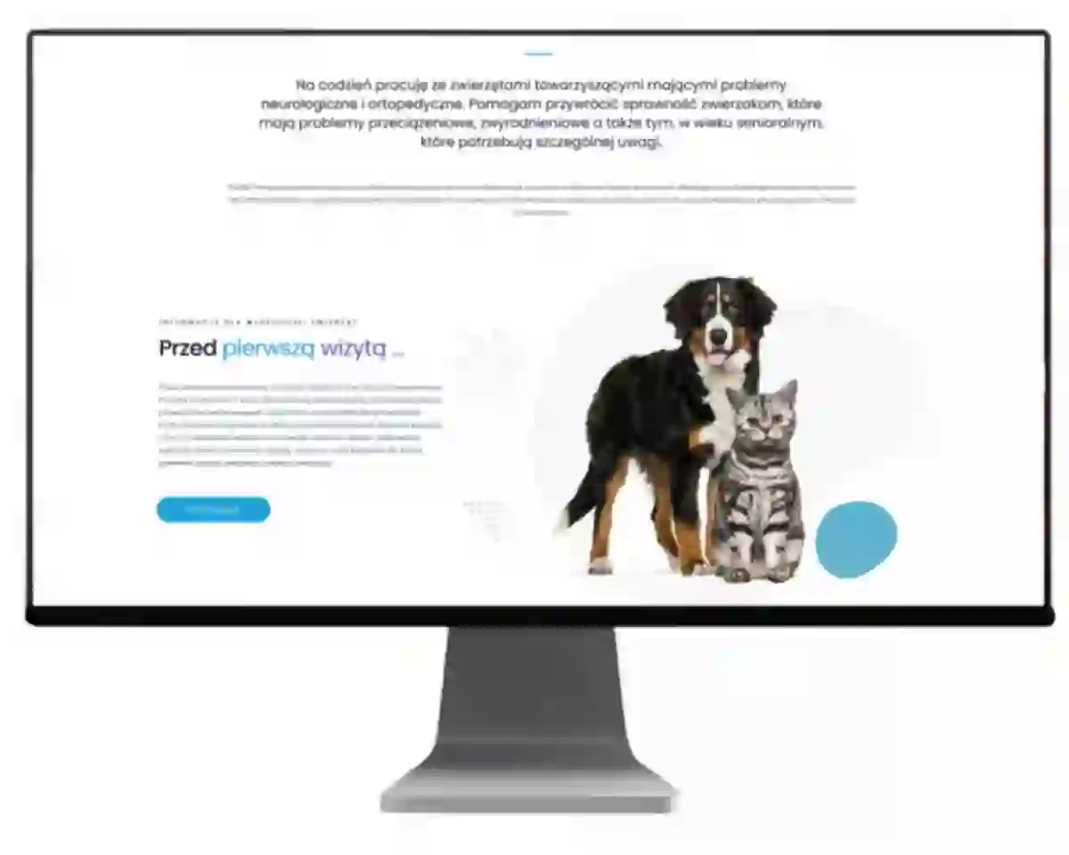projekt strony www dla przychodni vitalvet wykonanie exponet bielsko