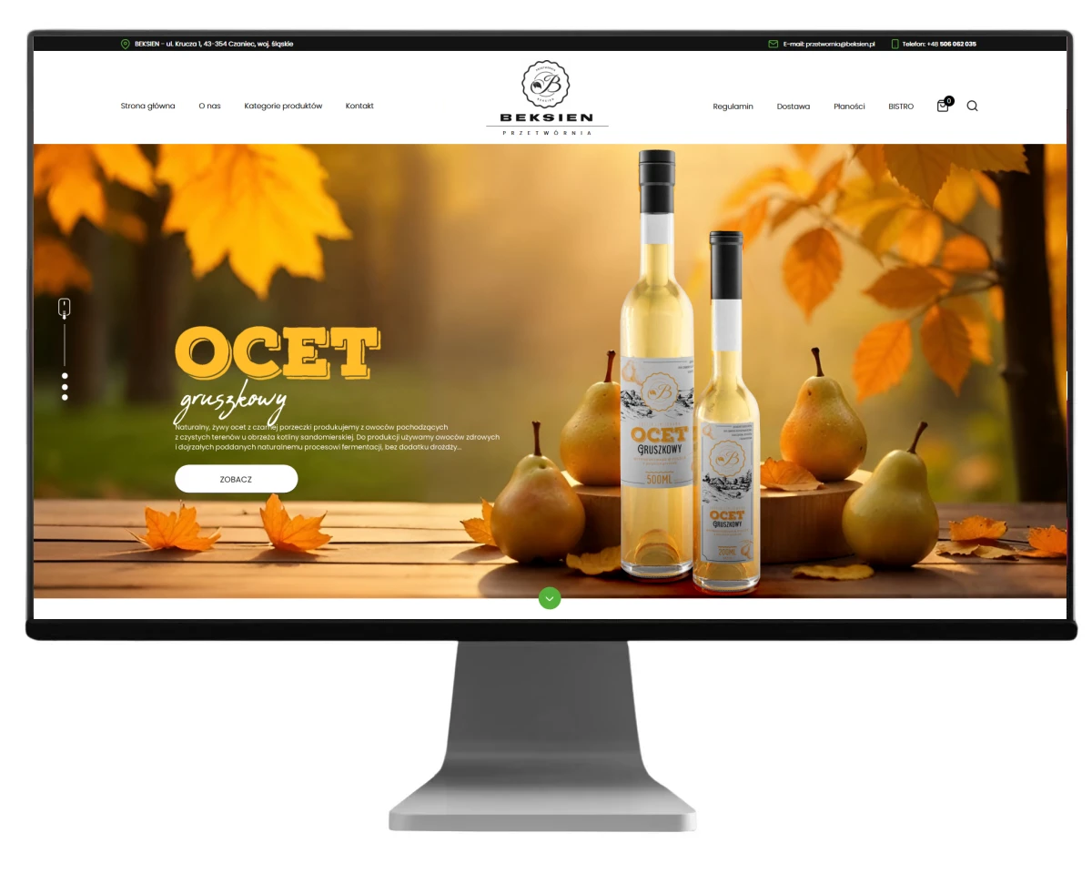 projektowanie stron internetowych bielsko projekt dla beksien