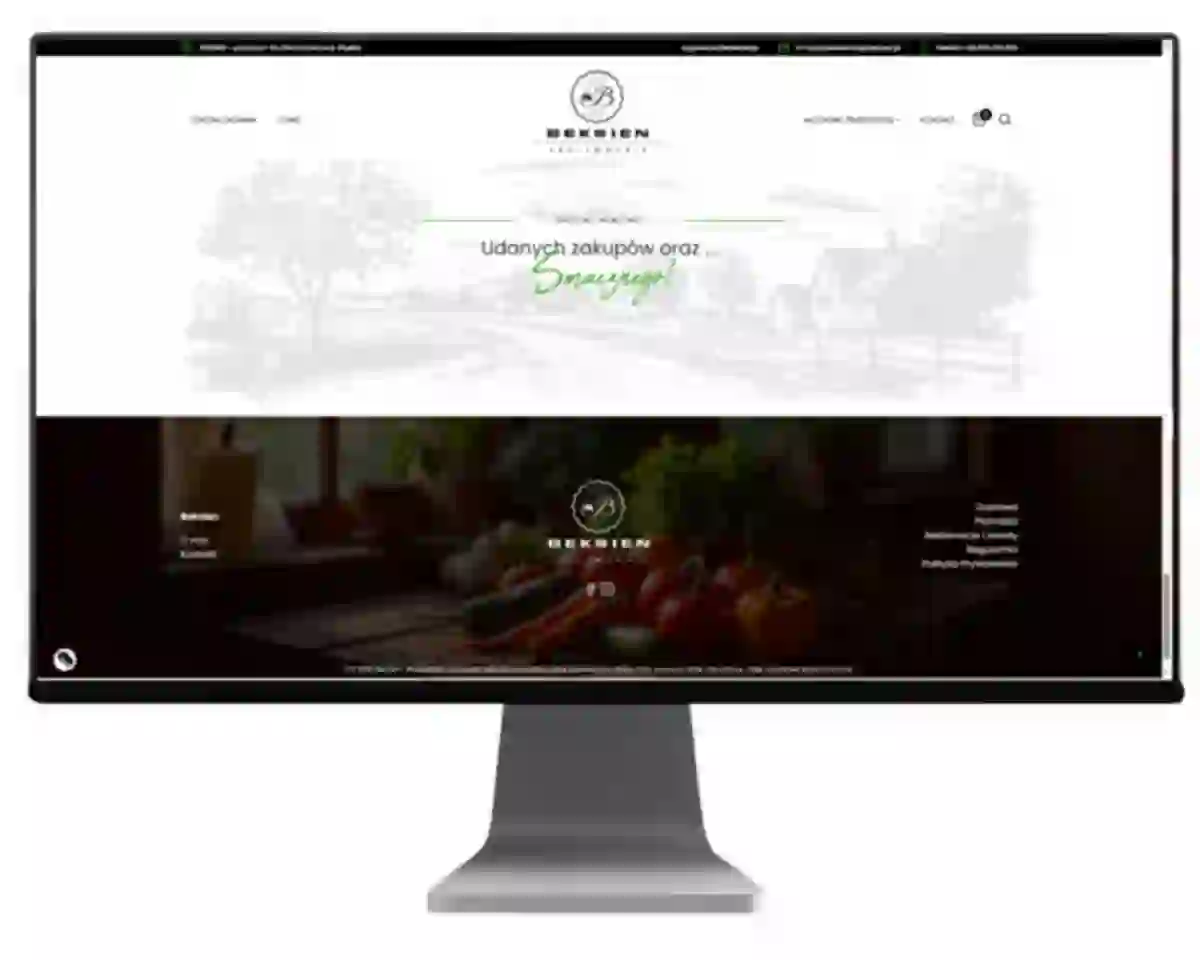 tworzenie stron internetowych bielsko projekt beksien 2025