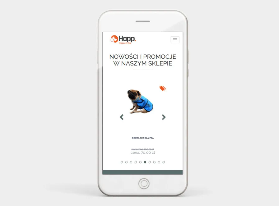 strony www bielsko internetowe mobilne 3