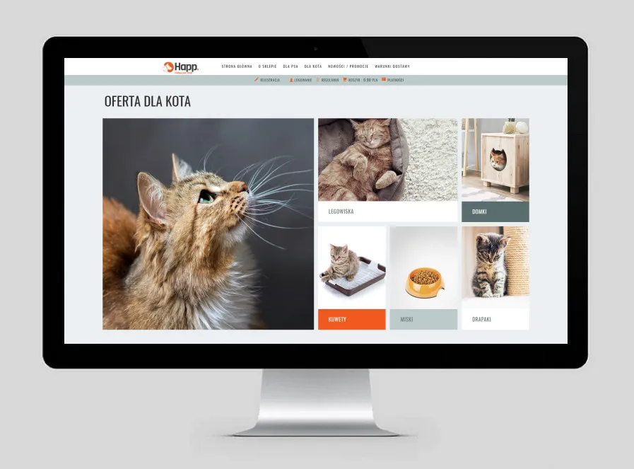 strony www bielsko internetowe mobilne 2