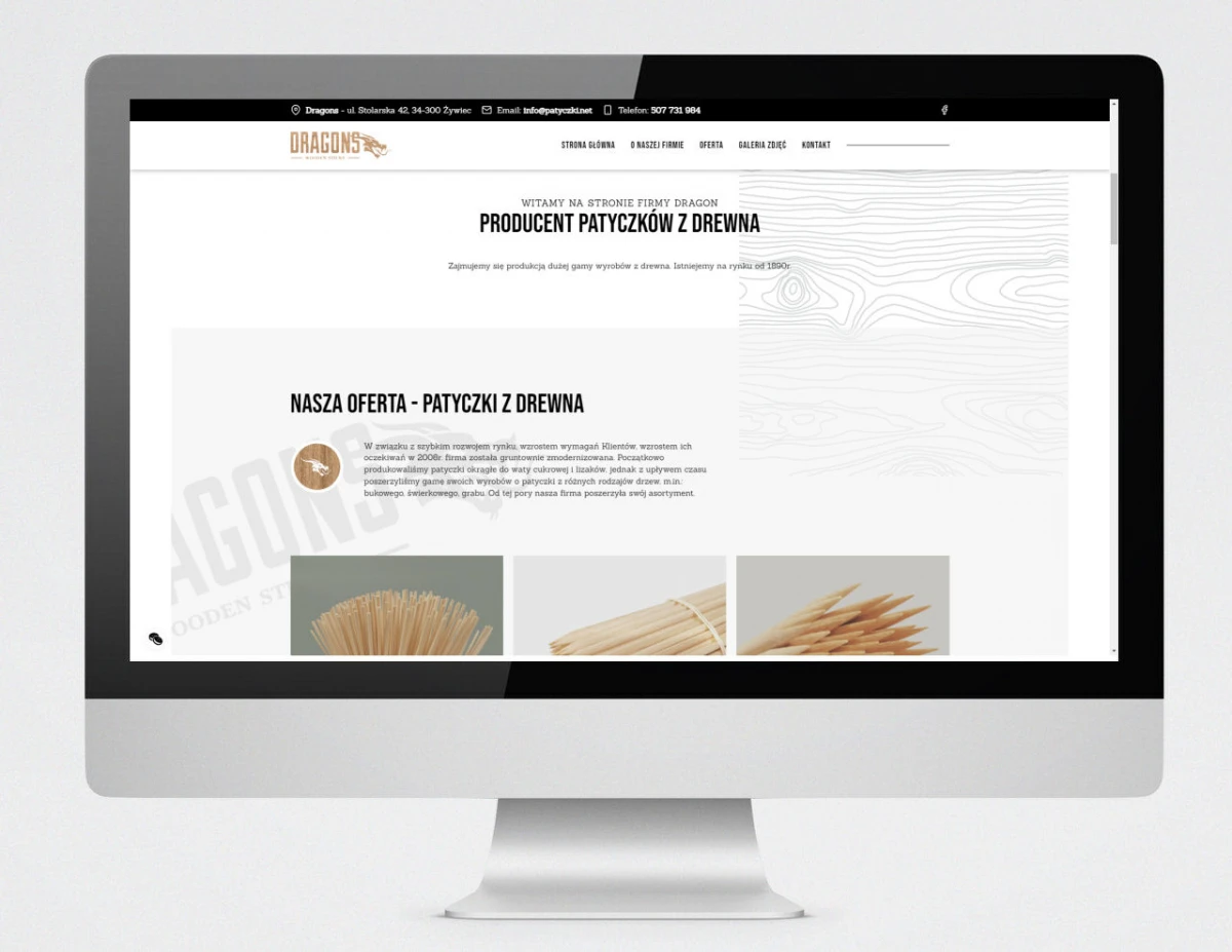 projektowanie strony www dla firmy dragons