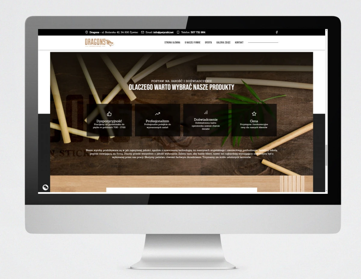 strony internetowe dla dragons bielsko biala po seo
