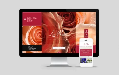 strony internetowe bielsko larosa