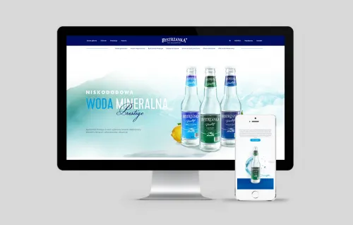 strony internetowe bielsko bystrzanka 1